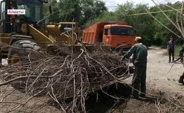 Чтобы город стал чистым: алматинские коммунальщики провели субботник