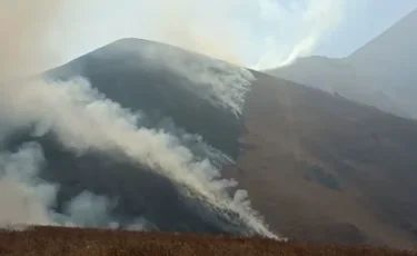 Жамбыл облысында 5 күннен бері өршіген дала өрті ауыздықталмай жатыр