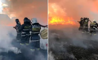 Петропавл маңында қамыс өртеніп жатыр  