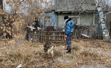 Нұр-Сұлтанда бір ай бұрын жоғалған 17 жастағы қыз табылды  