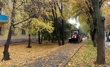 Осадки в Алматы: более 500 единиц техники и 1000 рабочих задействованы в расчистке улиц 