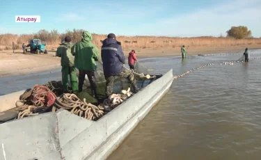 Атырауские рыбаки могут разориться из-за обмеления Каспия