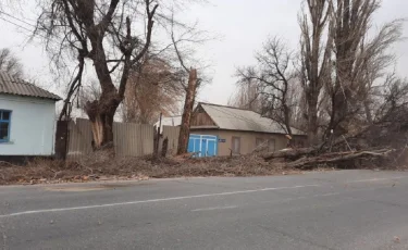 Сильнейший буран обрушился на Жамбылскую область - пострадали люди