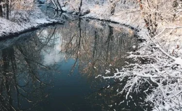 Ақтөбе облысында мал іздеуге шыққан екі көрші өзенге батып кетті