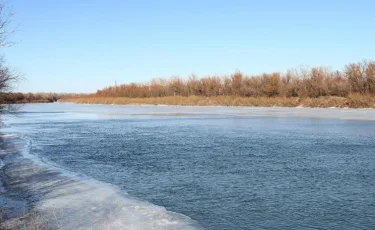 Тело без вести пропавшего обнаружили на берегу Урала 