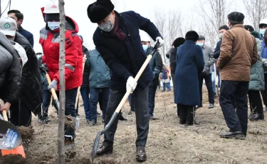 Тәуелсіздік күні қарсаңында Алматыда жаңа саябақтың құрылысы басталды