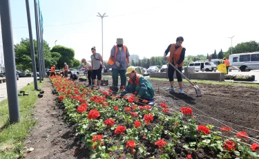 Цветы в Алматы высадят на территории почти 160 000 квадратных метров