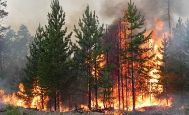 Қостанай облысында өртке байланысты шұғыл желі іске қосылды