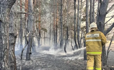 Қостанайда үш тәулікке созылған өрт 43 мың гектарды шарпыды