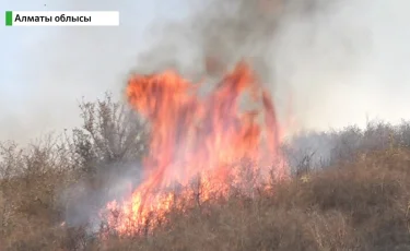 Пожар в Алматинской области: горел сухостой близ села Азат