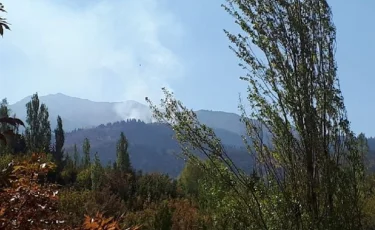 В горах Алматы на склоне Кок Жайлау горит сухостой