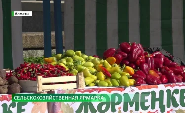 По приемлемым ценам: в мегаполисе прошла сельскохозяйственная ярмарка