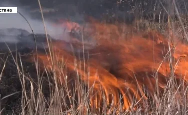 Астана әуежайының маңында бірнеше гектар құрғақ шөп өртенді