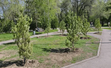 Almaty Clean&Green может стать республиканским мейнстримом