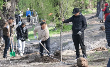 Сколько высажено деревьев на общегородском субботнике в Алматы