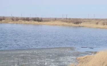 Жители Петропавловска задыхаются от зловонного запаха