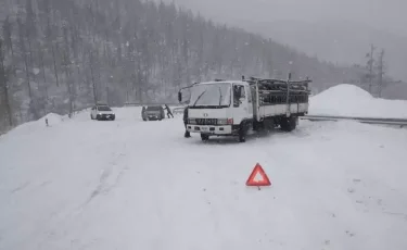 Снежная буря обрушилась на Монголию