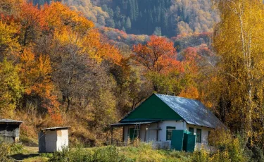 1 шілдеден бастап орманшылардың айлығы өседі