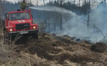 Пожар в области Абай: какова ситуация к данному часу