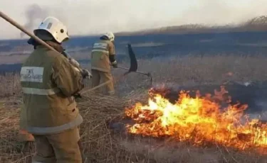 На побережье Каспия пожар: горит 10 гектаров камыша