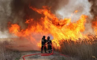 Тілсіз жау: Қарағанды облысындағы дала өртінен 150 гектар аумақ күлге айналды