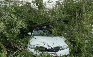 БҚО-да күшті жел салдарынан ағаш автокөлікке құлап, үйдің шатыры ұшты