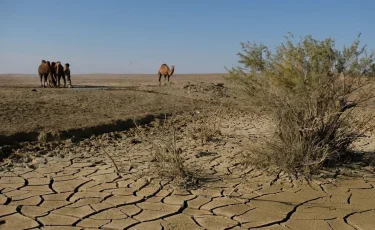 Где в Казахстане ожидается сильная засуха