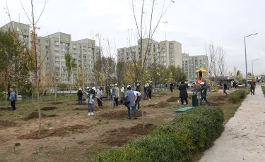 Сколько деревьев высадят осенью в Алматы