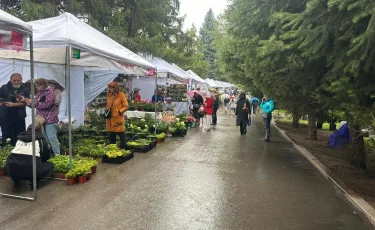 Ко Дню города: в Алматы проходит международный фестиваль садов, цветов и ландшафтного искусства