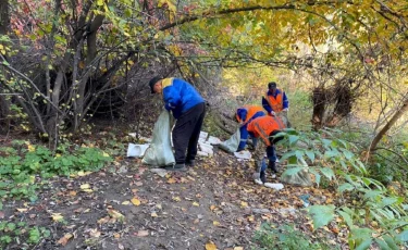 От детей до пенсионеров: более 34 тысяч алматинцев приняли участие в масштабном субботнике в Алматы