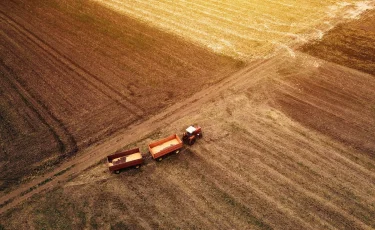 Алматы облысында пайдаланылмай отырған жердің иесі кім