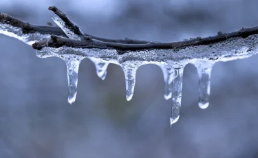 Еліміздің 14 өңірінде жаңбыр жауып, көктайғақ, тұман болады