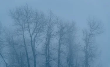 Бүгін еліміздің басым бөлігінде қар аралас жаңбыр жауады