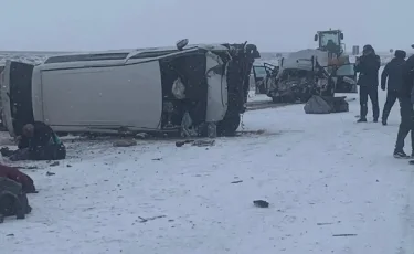 Жолда тұрған көлік жүргізушісі қайтыс болды