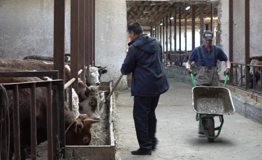 Ауыл аманаты: Жетісу облысында жеке іс бастағандар саны артты