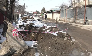 Токсичное соседство: жители села жалуются на зловонное предприятие