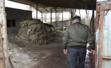 Зловонное соседство: сельчане области Жетысу вынуждены дышать трупным запахом