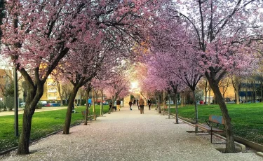 Жара до +30°С, небольшой дождь, гроза: прогноз погоды на 22 апреля