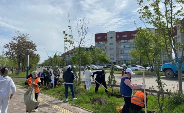 В Алматы знаменитости посадили деревья в рамках республиканской акции «Таза Казахстан»