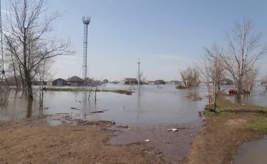 Воспользовался случаем: мародёр вынес имущество из затопленного дома в Уральске