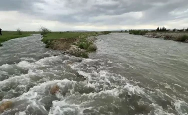 Су басуы мүмкін: Аса өзенінің арнасын кім бұзды