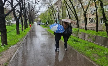 Как коммунальные службы борются с непогодой в Алматы