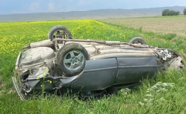 Не справилась с управлением: в Жамбылской области произошло смертельное ДТП