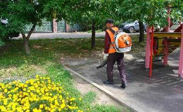 Куда обращаться по вопросу уборки дворов в Алматы