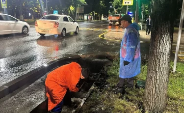 Двенадцать мм осадков за сутки: в Алматы вывезено 590 м3 мусора из арыков