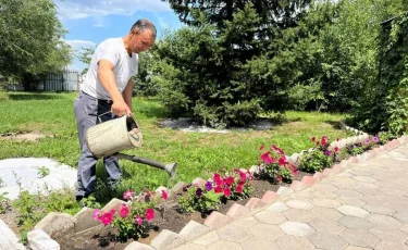 Цветущая колония: осужденный превратил территорию зоны в сад