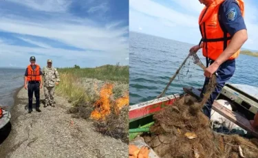 ШҚО-да 2 мың метрден астам браконьерлік аула табылды