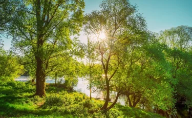 Жара до +38°C, гроза и ветер: прогноз погоды на 29 июля