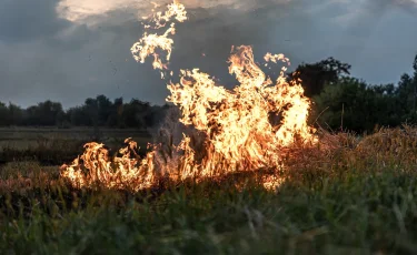 ШҚО мен Алматы облысында 26 тонна шөп өртеніп кетті