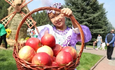 Настоящий яблочный карнавал: чем впечатлит гостей Apple Fest-2024